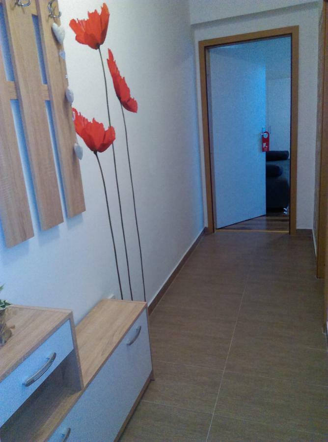 Studio Apartman Zdral Daruvar Exterior photo